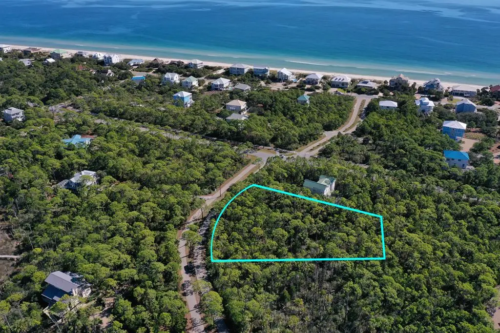 1935 Smugglers Cove Rd, Saint George Island, FL 32328 - Image #1