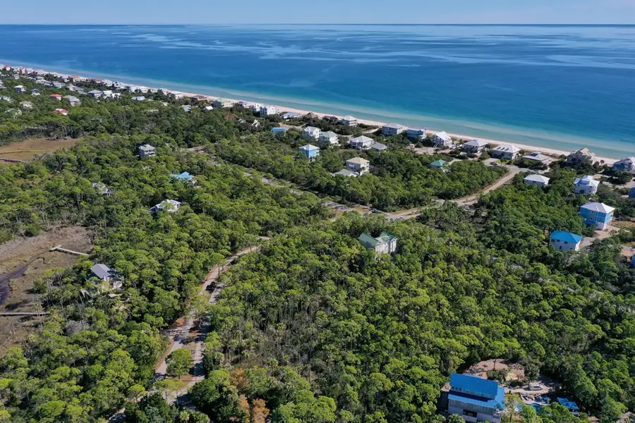 1935 Smugglers Cove Rd, Saint George Island, FL 32328 - Image #2