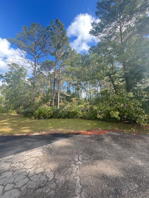 1014 Sunset Cir, Carrabelle, FL 32322 - Image #2