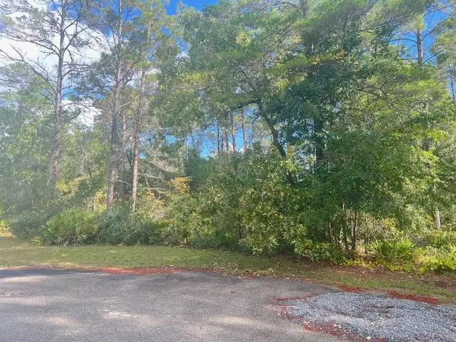 1014 Sunset Cir, Carrabelle, FL 32322 - Image #3