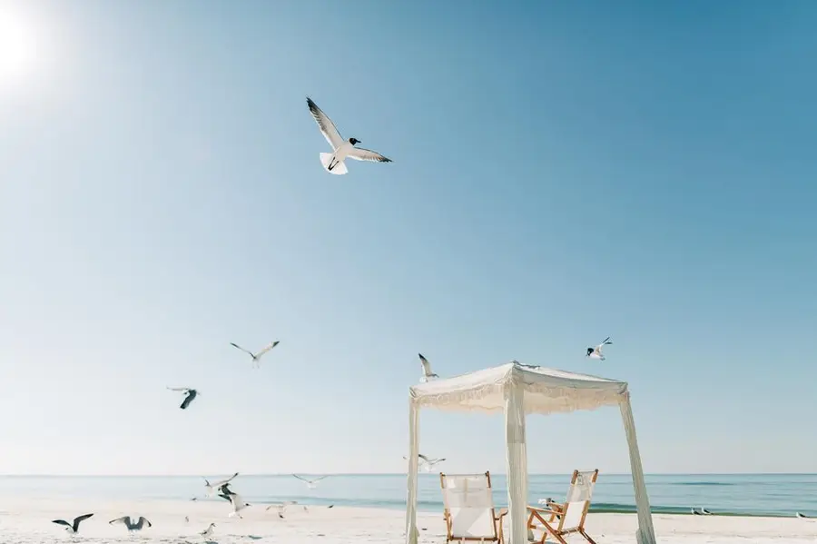 1008 15th St #16D, Mexico Beach, FL 32456 - Image #3