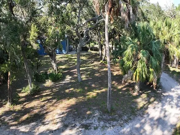 1246 Live Oak Island Rd, Crawfordville, FL 32327
