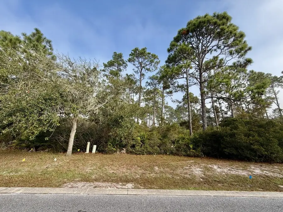 119 Crane Dr, Port Saint Joe, FL 32456 - Image #2