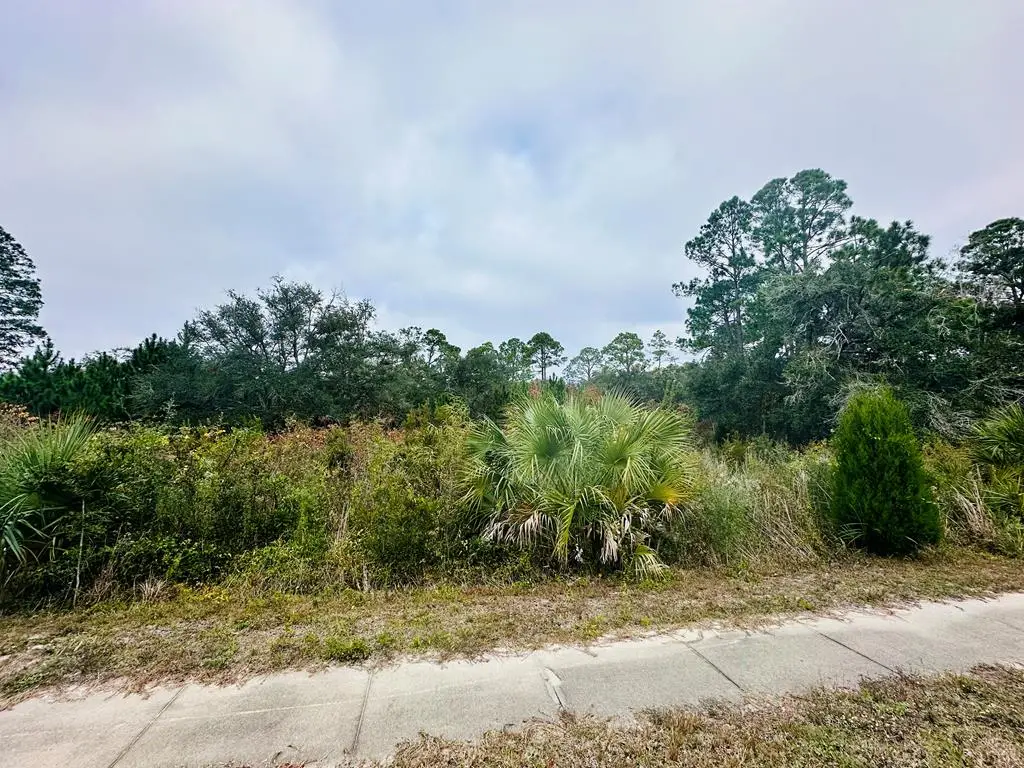 711 Ryan Dr, Carrabelle, FL 32322 - Image #1