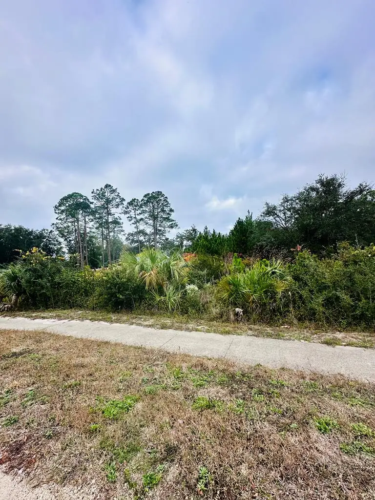 709 Ryan Dr, Carrabelle, FL 32322 - Image #1