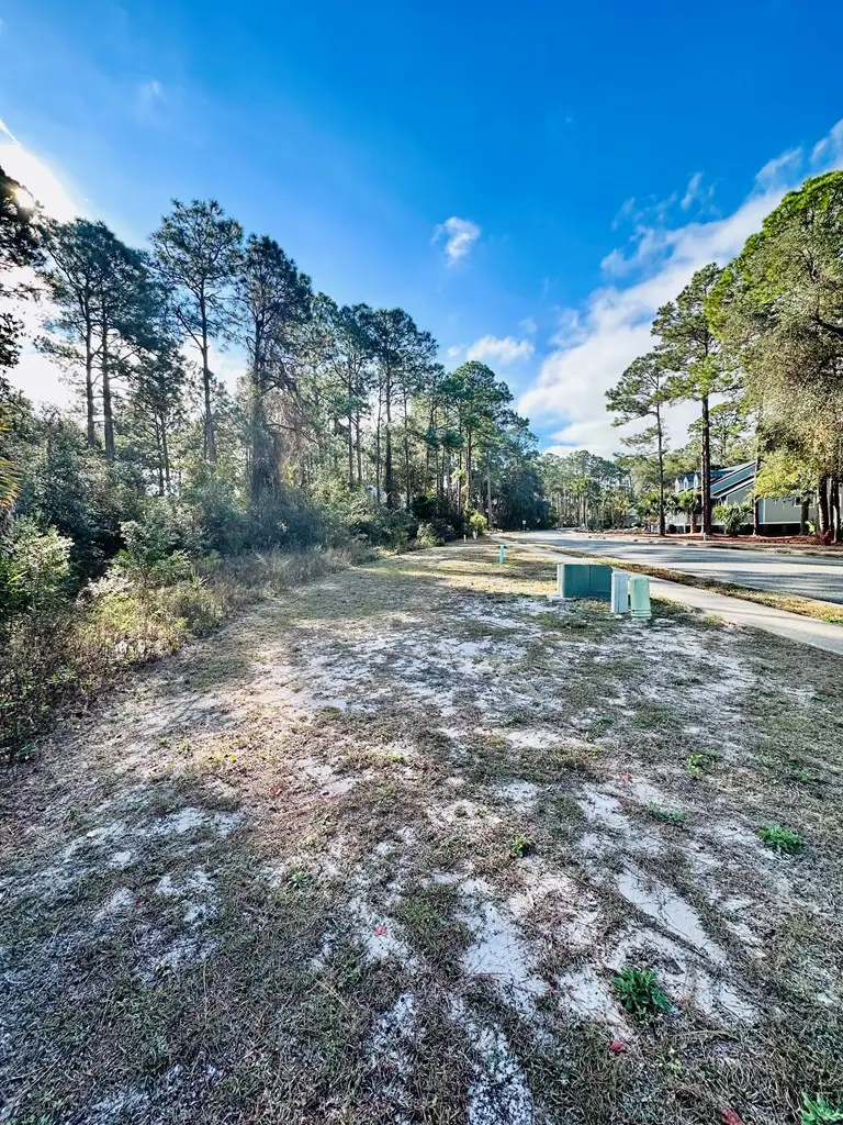 120 Laughing Gull Ln, Carrabelle, FL 32323 - Image #3