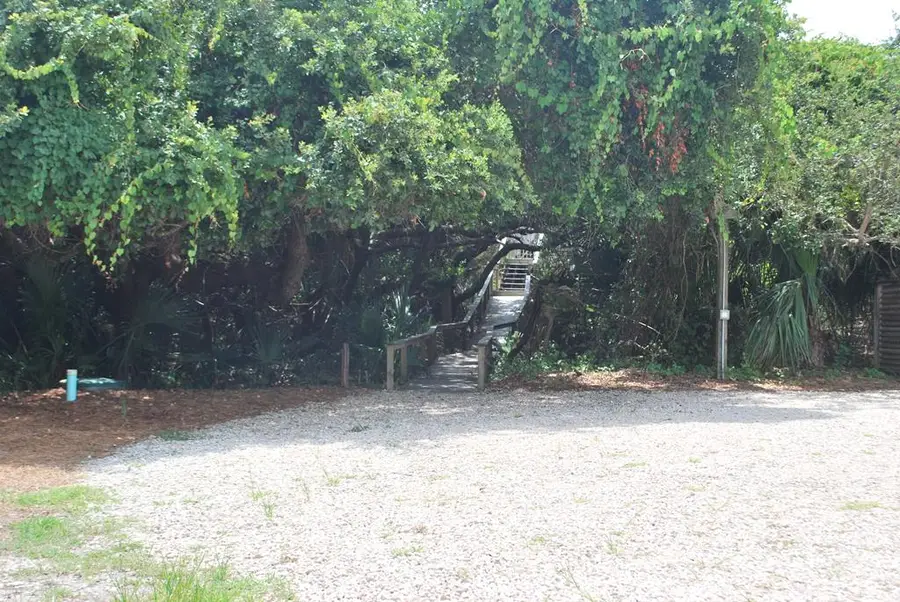 1244 Sandy Ln, Saint George Island, FL 32328 - Image #2