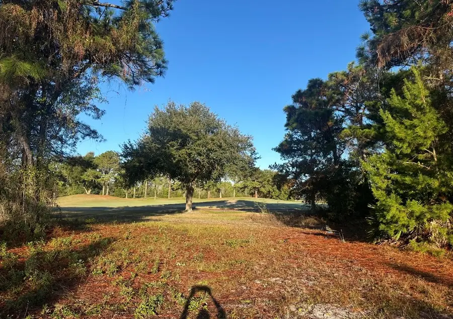 269 Royal Tern Way, Carrabelle, FL 32322 - Image #2