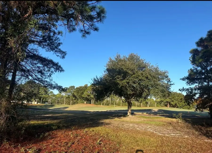 273 Royal Tern Way, Carrabelle, FL 32322 - Image #2