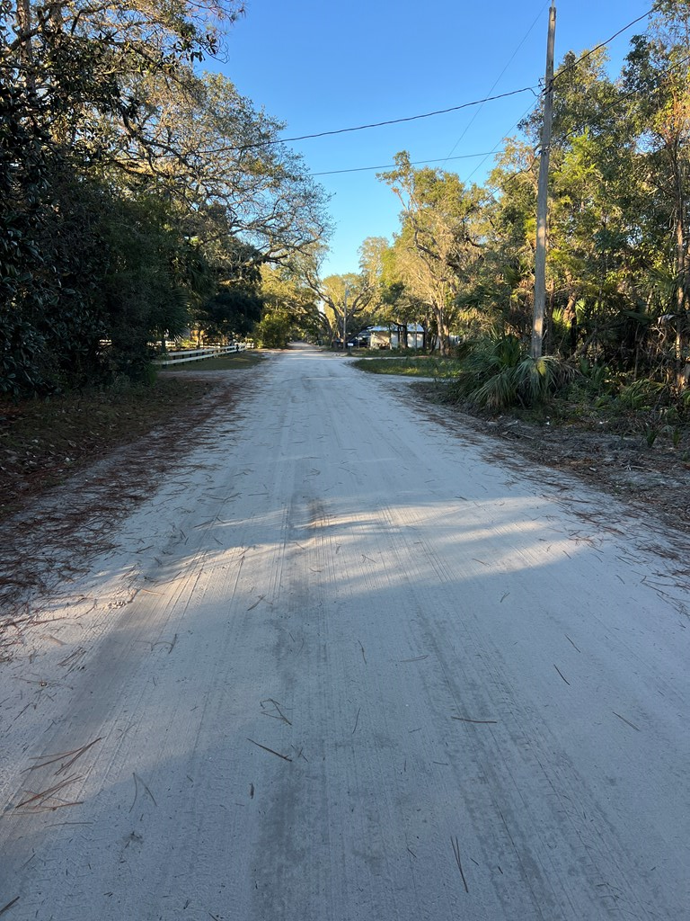TBD Otter Lake Rd, Panacea, FL 32346 - Image #3