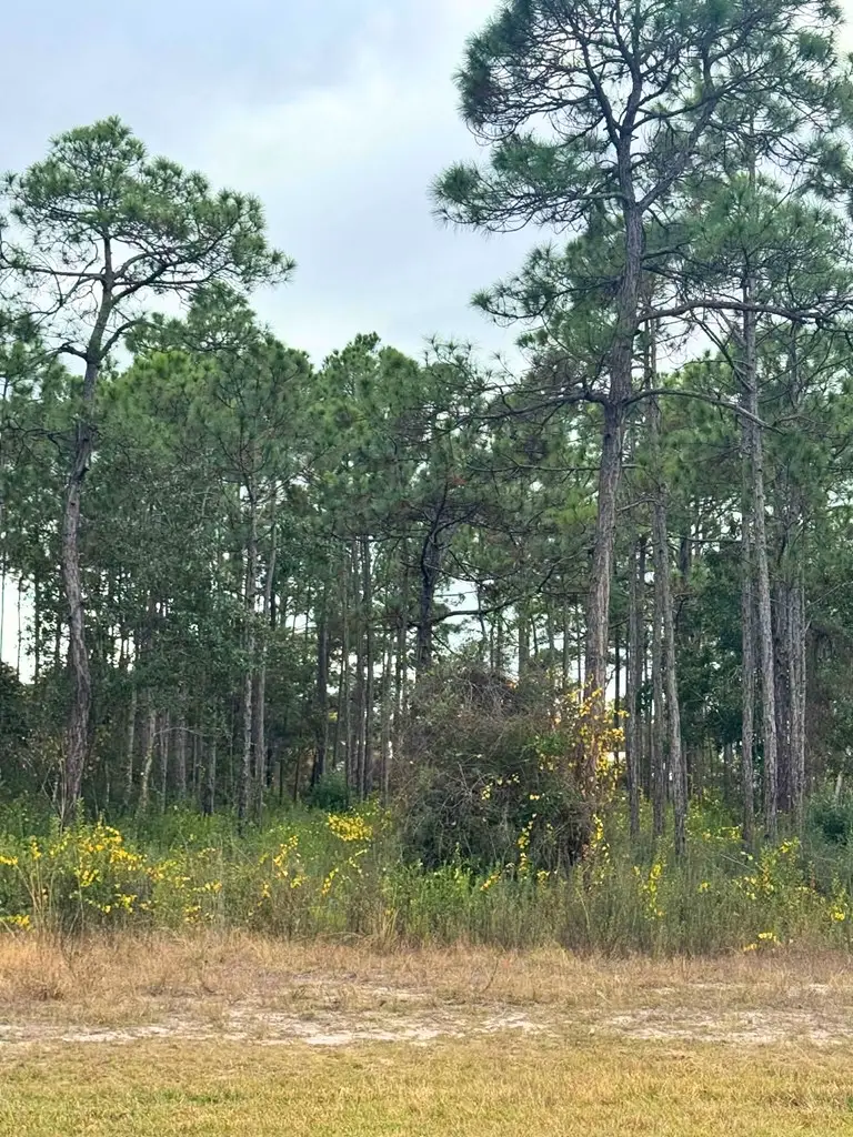 396 Ridgecrest Pkwy, Eastpoint, FL 32328 - Image #3