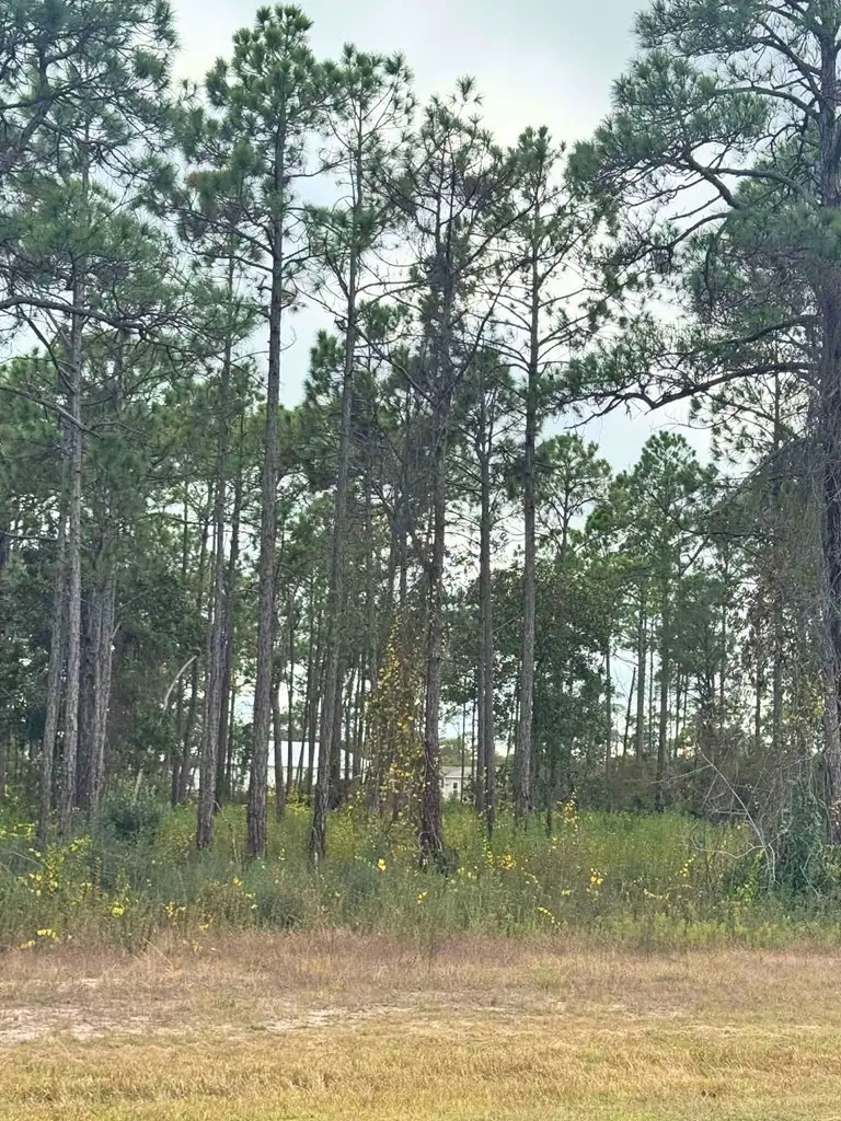 400 Ridgecrest Pkwy, Eastpoint, FL 32328 - Image #2