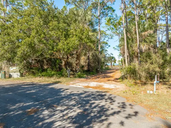 1247 Avocet Ln, St. George Island, FL 32328
