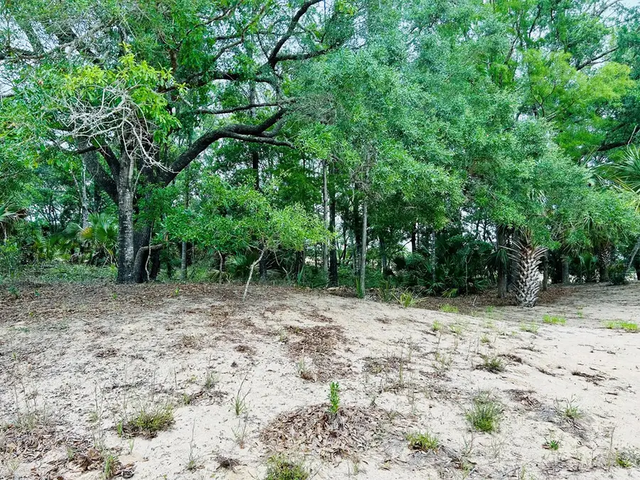 184 River Chase Rd, Apalachicola, FL 32320 - Image #3