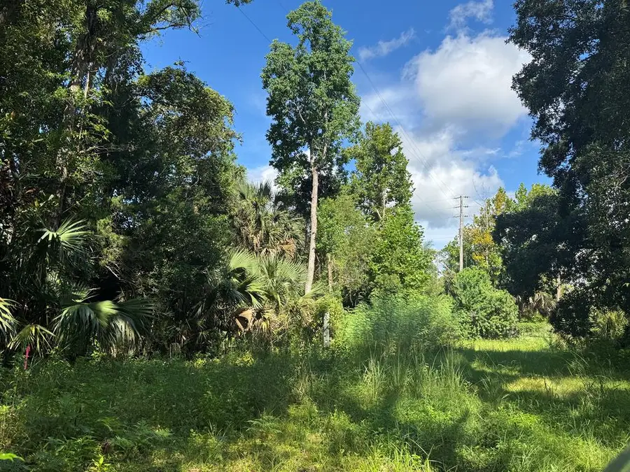 254 8th St, Apalachicola, FL 32320 - #3