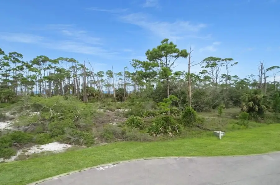135 Hemmingway Cr, Port Saint Joe, FL 32456 - Image #2