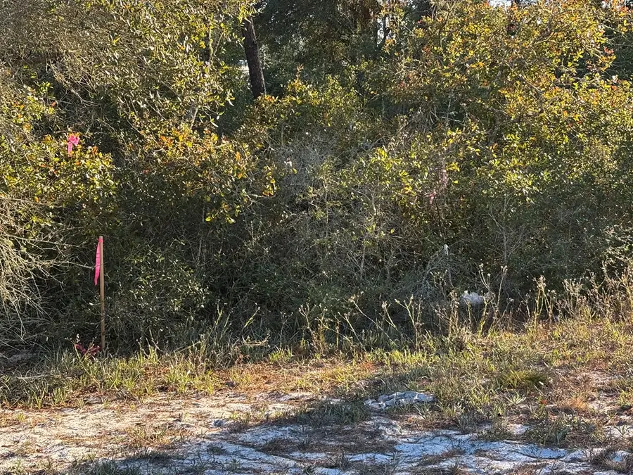 2 Kal Ln #2, Carrabelle, FL 32322 - Image #2