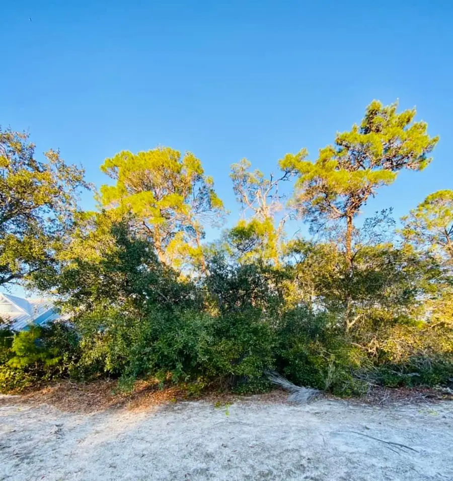 125 Lakes On The Bluff Dr, Eastpoint, FL 32328 - Image #2