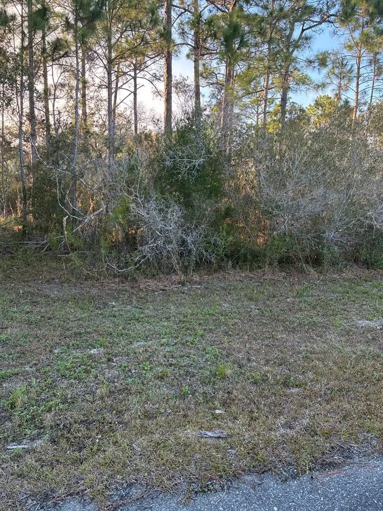 Lot 78 Surf Rd, Panacea, FL 32346 - Image #2