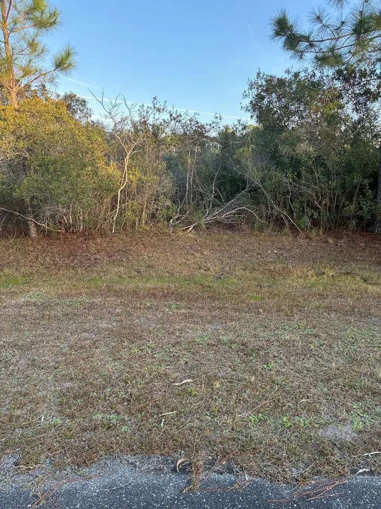 Lot 48 Frogs Beckon Ct, Panacea, FL 32346 - #2