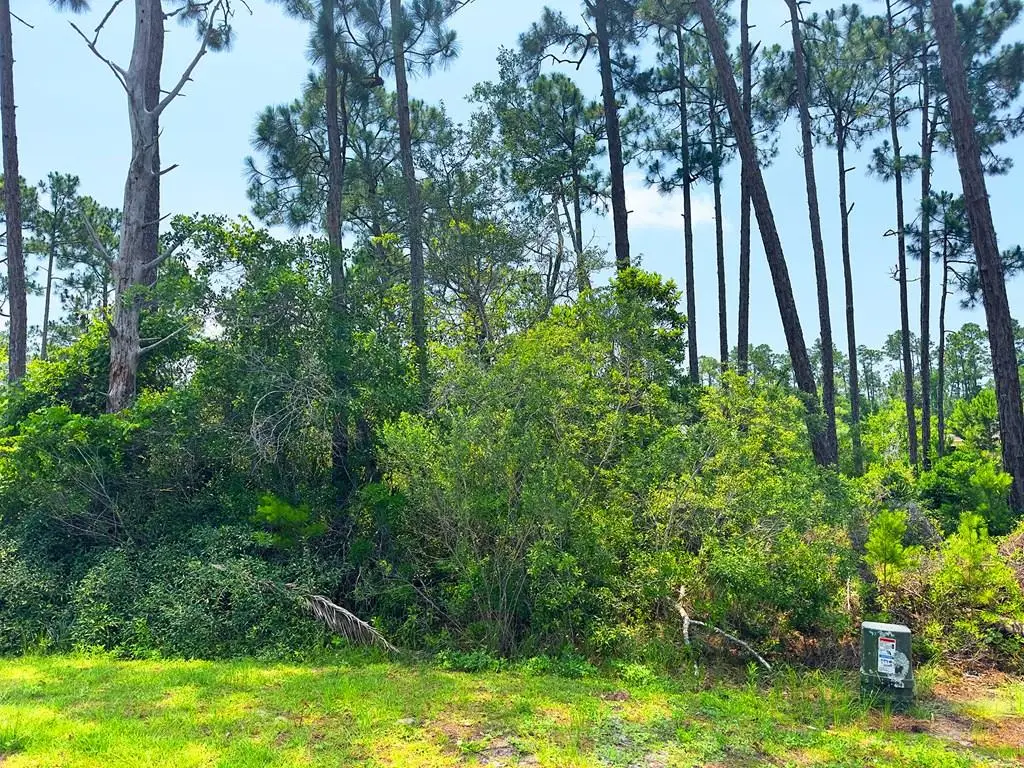 308 Sea Haven Dr, Port Saint Joe, FL 32456 - Image #1