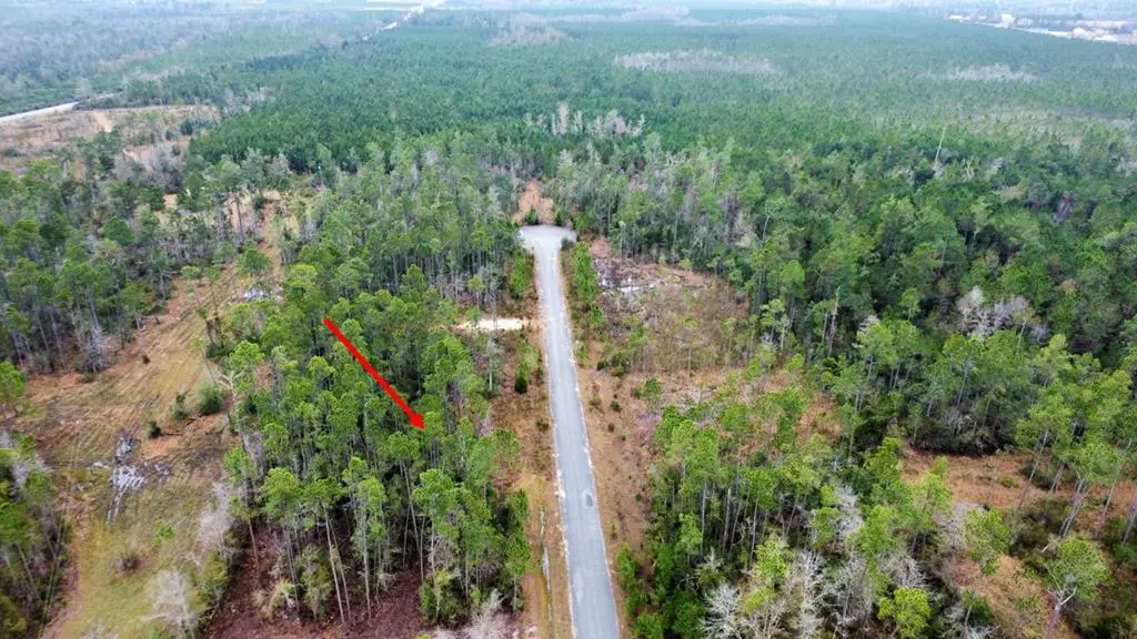 Lot 9 Jazzy Lane, Wewahitchka, FL 32465 - Image #1