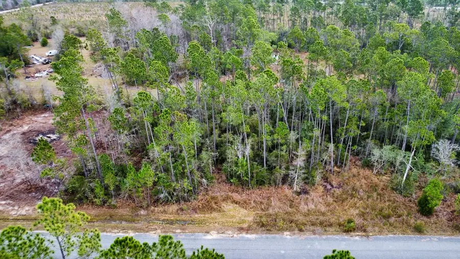 Lot 9 Jazzy Lane, Wewahitchka, FL 32465 - Image #2
