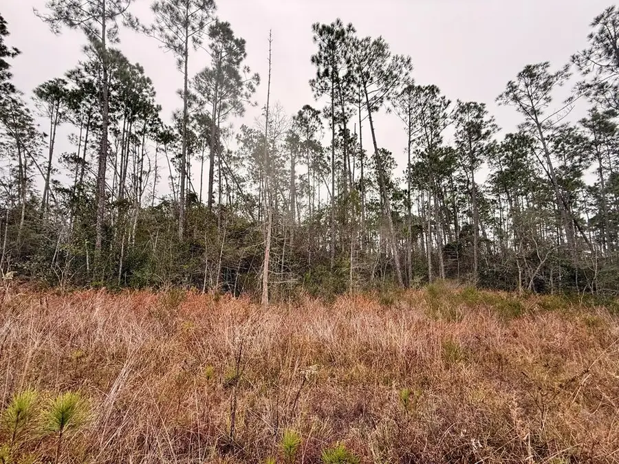 Lot 9 Jazzy Lane, Wewahitchka, FL 32465 - Image #3