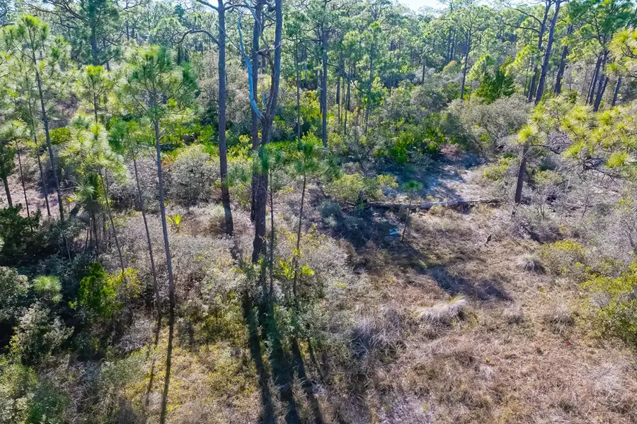 1279 Avocet Ln, Saint George Island, FL 32328 - Image #2