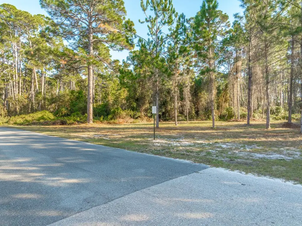 711 Ne Ave H, Carrabelle, FL 32322 - #1