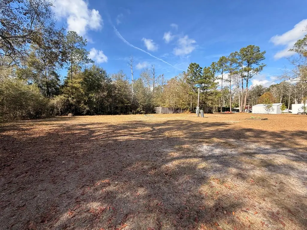 295 S Squirrel Ave, Wewahitchka, FL 32465 - Image #1
