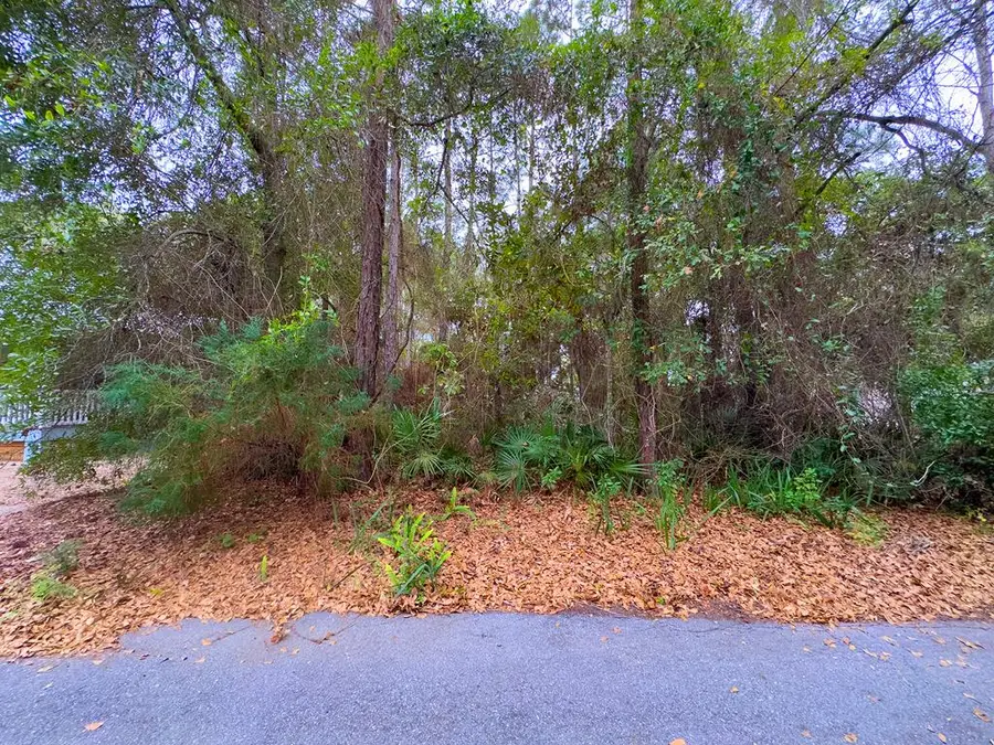 174 Sawyer Ln, Apalachicola, FL 32320 - #2