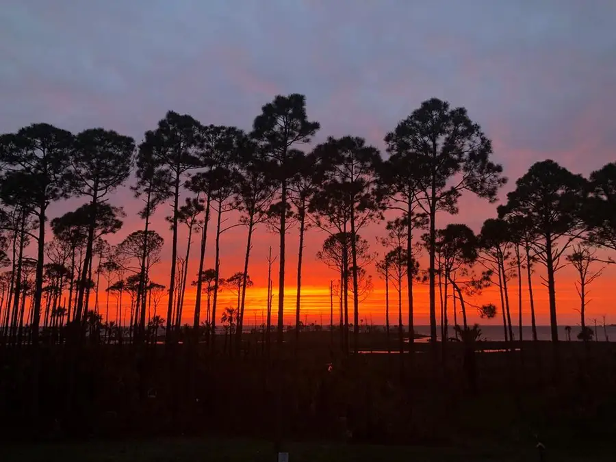 4905 Sr 30-a, Port Saint Joe, FL 32456 - #3