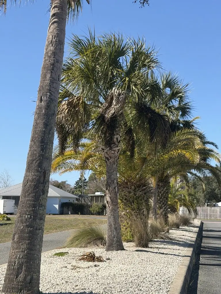 111 N Caicos Dr, Port Saint Joe, FL 32456 - Image #3