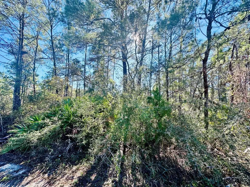 264 River Rd, Carrabelle, FL 32322 - Image #1