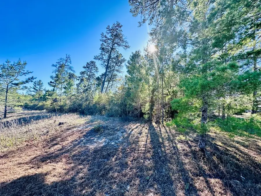 228 Lake Pristine Cir, Carrabelle, FL 32322 - Image #2