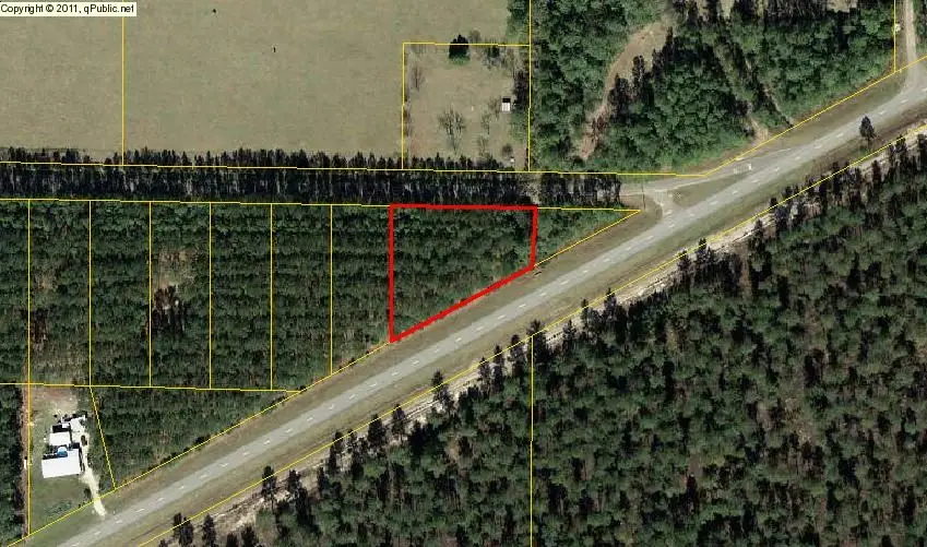 Lot 6 Borders Rd, Wewahitchka, FL 32465 - #3