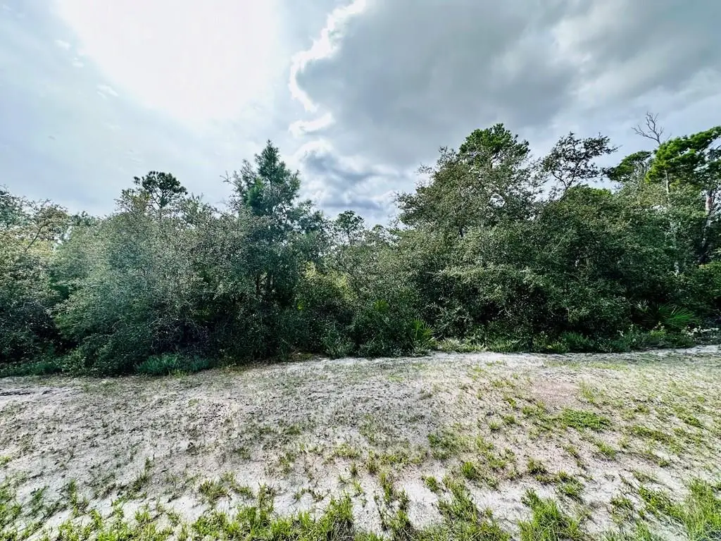 158 Singleleaf Rd, Eastpoint, FL 32328 - #1