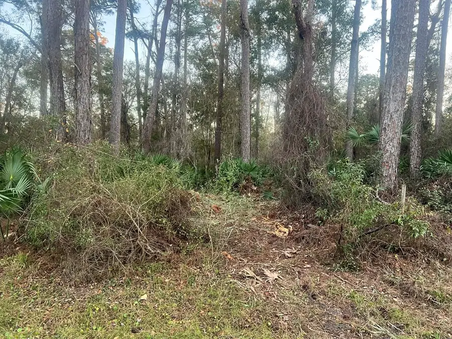 34 Gibson Rd, Apalachicola, FL 32320 - #2