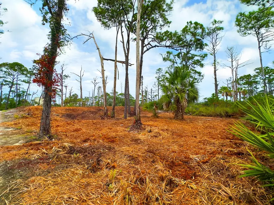 Parcel B Cape San Blas Rd, Cape San Blas, FL 32456 - Image #3