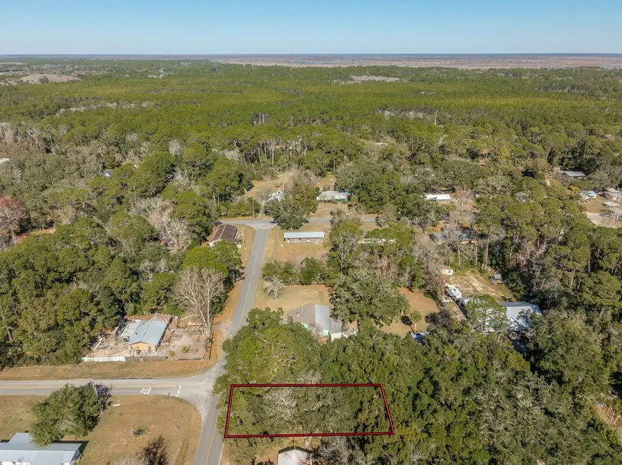 31 Jackie Whitehurst St, Apalachicola, FL 32320 - #3