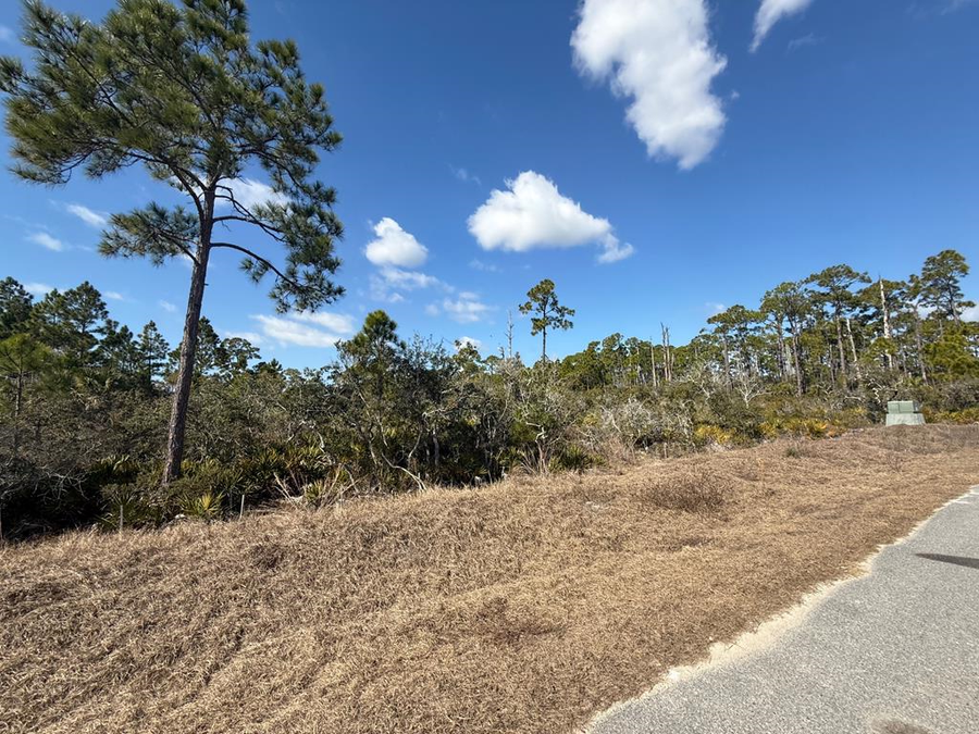 Lot 9 Sea Mist Dr, Port Saint Joe, FL 32456 - #3