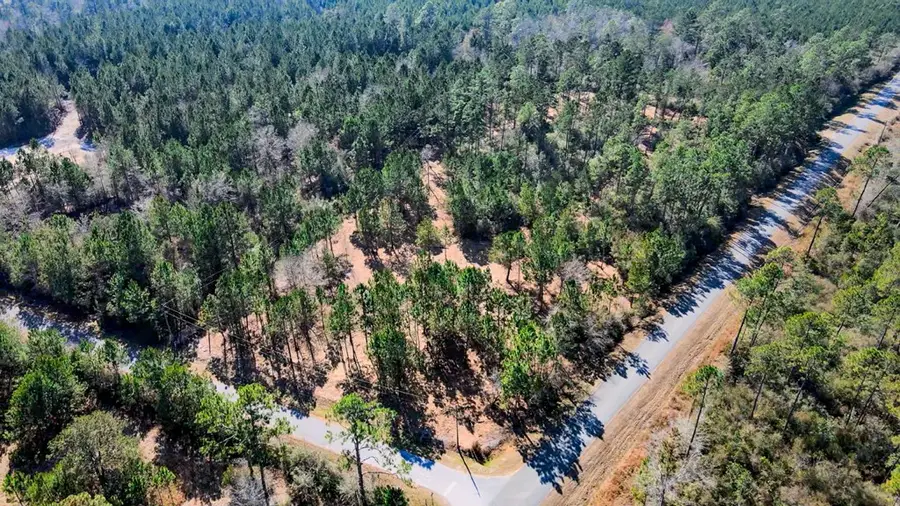 TBD Luke Ford Rd, Wewahitchka, FL 32465 - #3