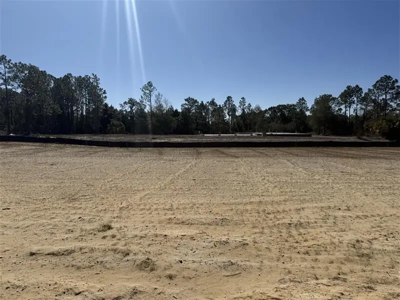 410 Coastal Canopy Ln, Port Saint Joe, FL 32456 - #2