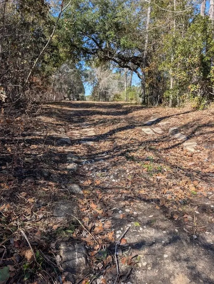 846-6B Hickory Hammock Rd, Carrabelle, FL 32322 - #3