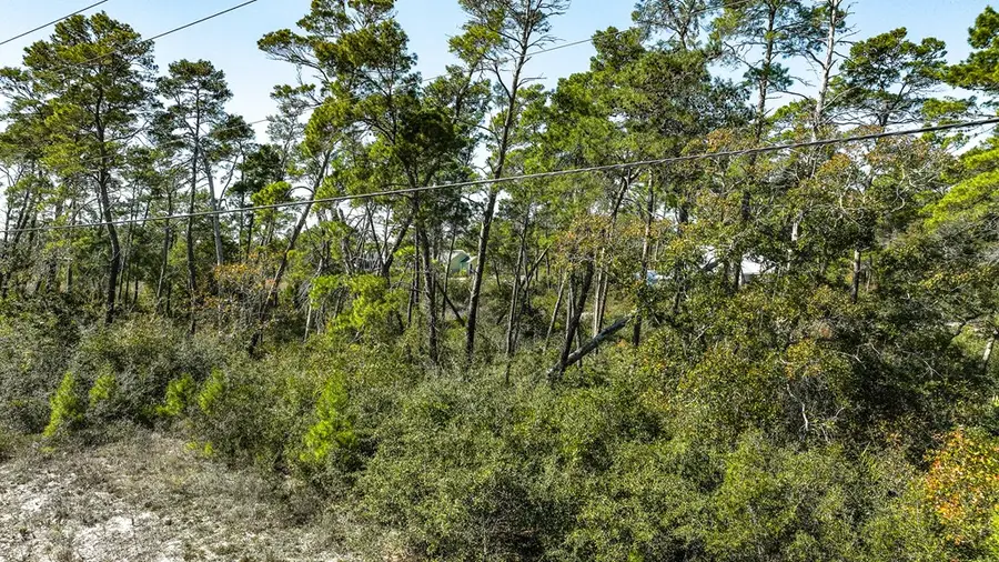 102 Plantation Dr, Carrabelle, FL 32322 - #3