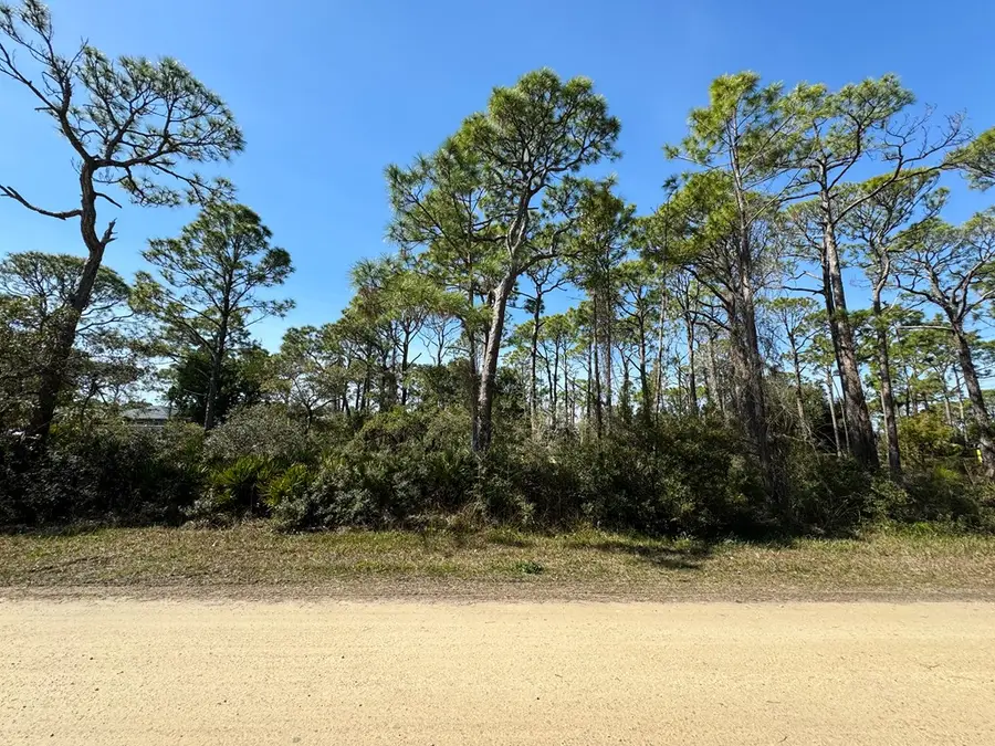 308 Howell St, Saint George Island, FL 32328 - #2