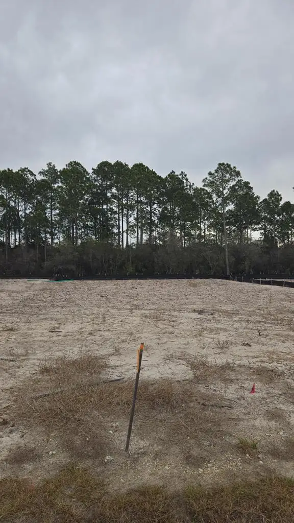 1064 Backwater Rd, Port Saint Joe, FL 32456 - #2