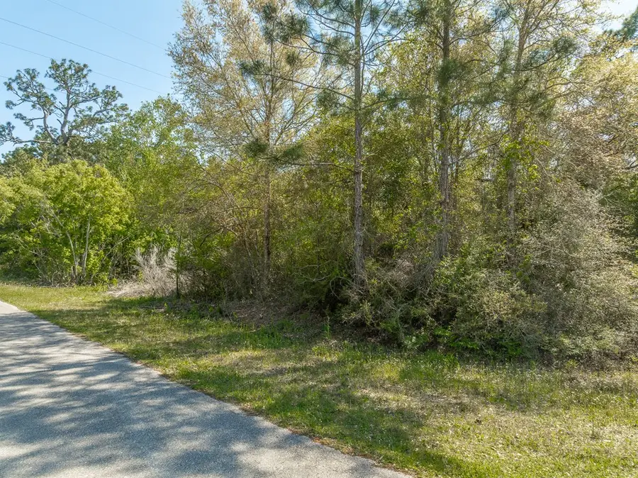 226 Franklin St, Lanark Village, FL 32323 - #3