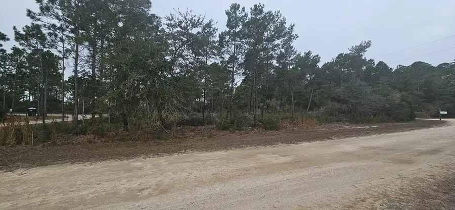 134 Timber Ln, Carrabelle, FL 32322 - #3